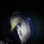 롯지 Oleandria-,, Mieta