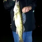 ロッジ Oleandria-,, Mieta